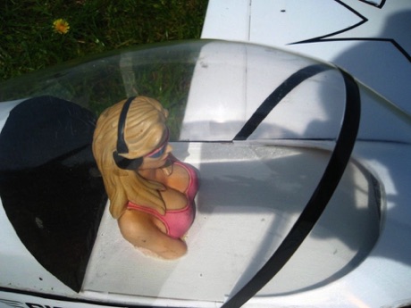 Brian had to rebalance model after fitting pilot Brian had to rebalance model after fitting pilot